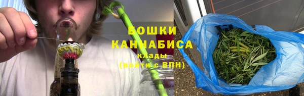 ПСИЛОЦИБИНОВЫЕ ГРИБЫ Баксан